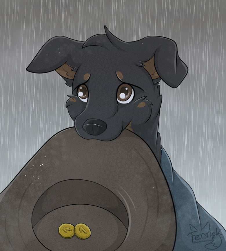 Begging Dog