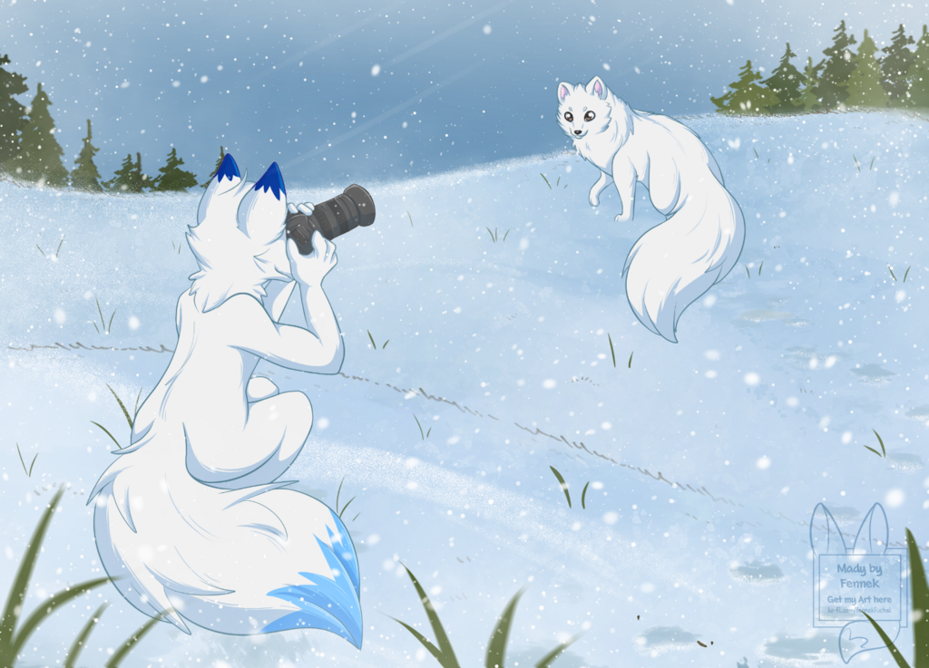 Arctic Foxes Anthro and Feral