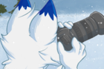 Arctic Foxes Anthro and Feral