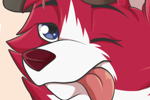 Furry Red Dog