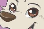 Furry Arctic Wolf