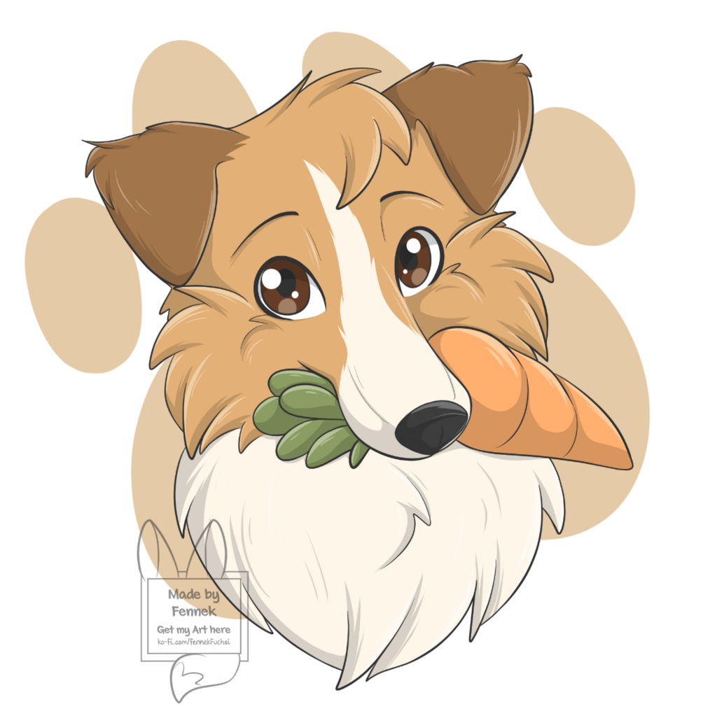 Dog Collie