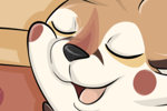 Fennec Fox loves Coffee